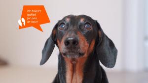 Movavi Video Suite 2026 Steam Edition - Emoji Speech Bubbles Pack Cover