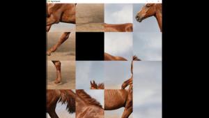 hgmGame-horse Cover