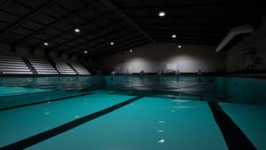 Sharks and Minnows Cover