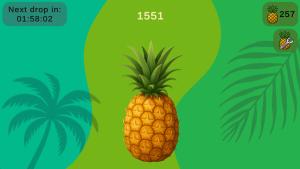 Pineapple Cover