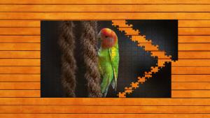 Whispers of Wings Jigsaw Puzzles - Expansion Pack 1 Cover