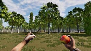 Pau e Pedra - Apple Cover