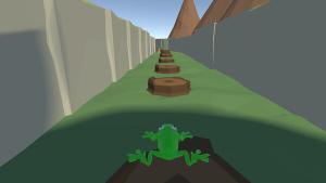 A frog in a small pond Cover