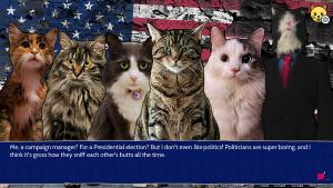 Cat President: 3rd-Rate Candidate Cover