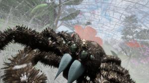 Drunk On Nectar - Peacock Jumping Spider Cover