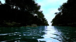 Dream Voyage Cover