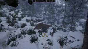 Untamed Kingdom Cover