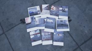 Animal Gaze on-XR Cover