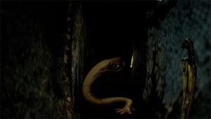 Project Liminal 2 Cover