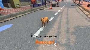 Rescue Over 100 Town Cats Cover