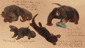 Wandering Okali Cover