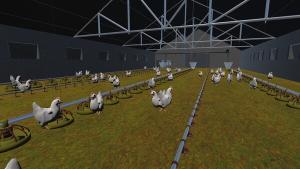 Chicken Inc. Cover