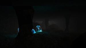 Into the Cave Cover