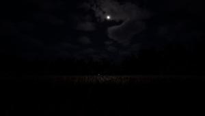 Deep in the Fields Cover