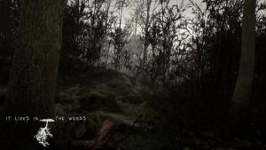 ItLivesInTheWoods Cover