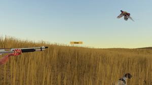 Birdshot Cover