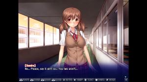 Sumire's Secret Cover