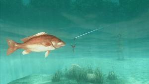 About Fishing Cover