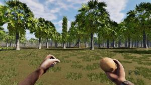 Pau e Pedra - Pot Cover