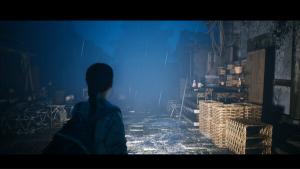 Ashen Vale: Where They Fell Cover