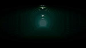 The Silent Forests Cover