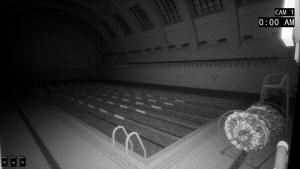 8AM: The Swimming Pool Cover