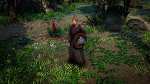 Swordhaven: Magus Tower Pack Cover