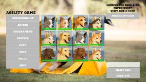 Agility Game Cover