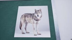 8th period: Music Cover