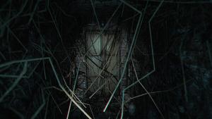 The Strange Lights Cover