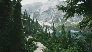 Lushfoil Photography Sim Cover