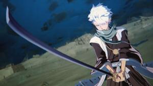 BLEACH Rebirth of Souls - Thousand-Year Blood War Toshiro Hitsugaya & Yoruichi Shihoin Costume Set Cover