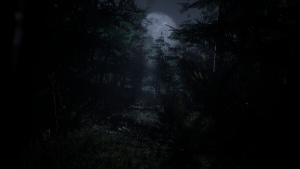 Forest 6174 - Judy Cover