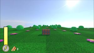 Endless Forest Cover