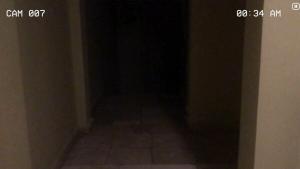 Paranormal Inc. Cover