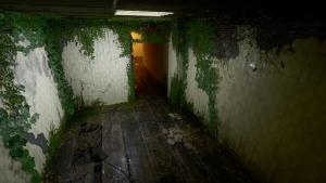 后室迷失之境Backrooms：The Lost Cover