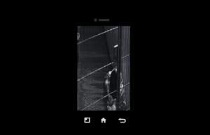 Among the Strangers Cover