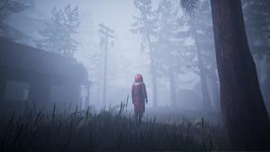 Veil of the Skies Cover