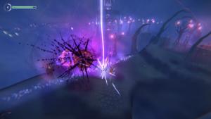 The Shaman's Ark Cover