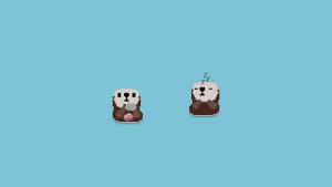 otters and stones Cover