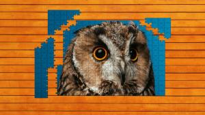 Whispers of Wings Jigsaw Puzzles - Expansion Pack 3 Cover