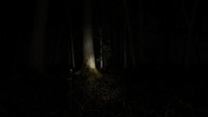 Waldzweisamkeit Cover