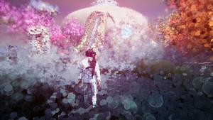 Dreams of Another Cover