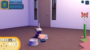 Kittenship Care Cover