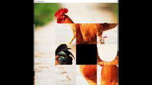 hgmGame-rooster Cover