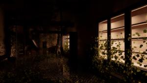 The Upper Downer Complex Cover