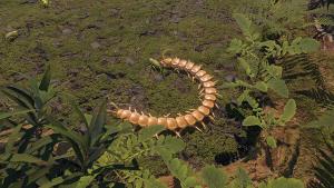 Centipede Simulator Cover