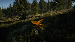 Forager's Finds Cover