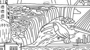 100 Dogs in Brazil Cover