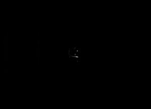 What Lurks Inside Cover